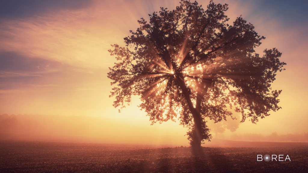 frases-espirituales-para-recordar
