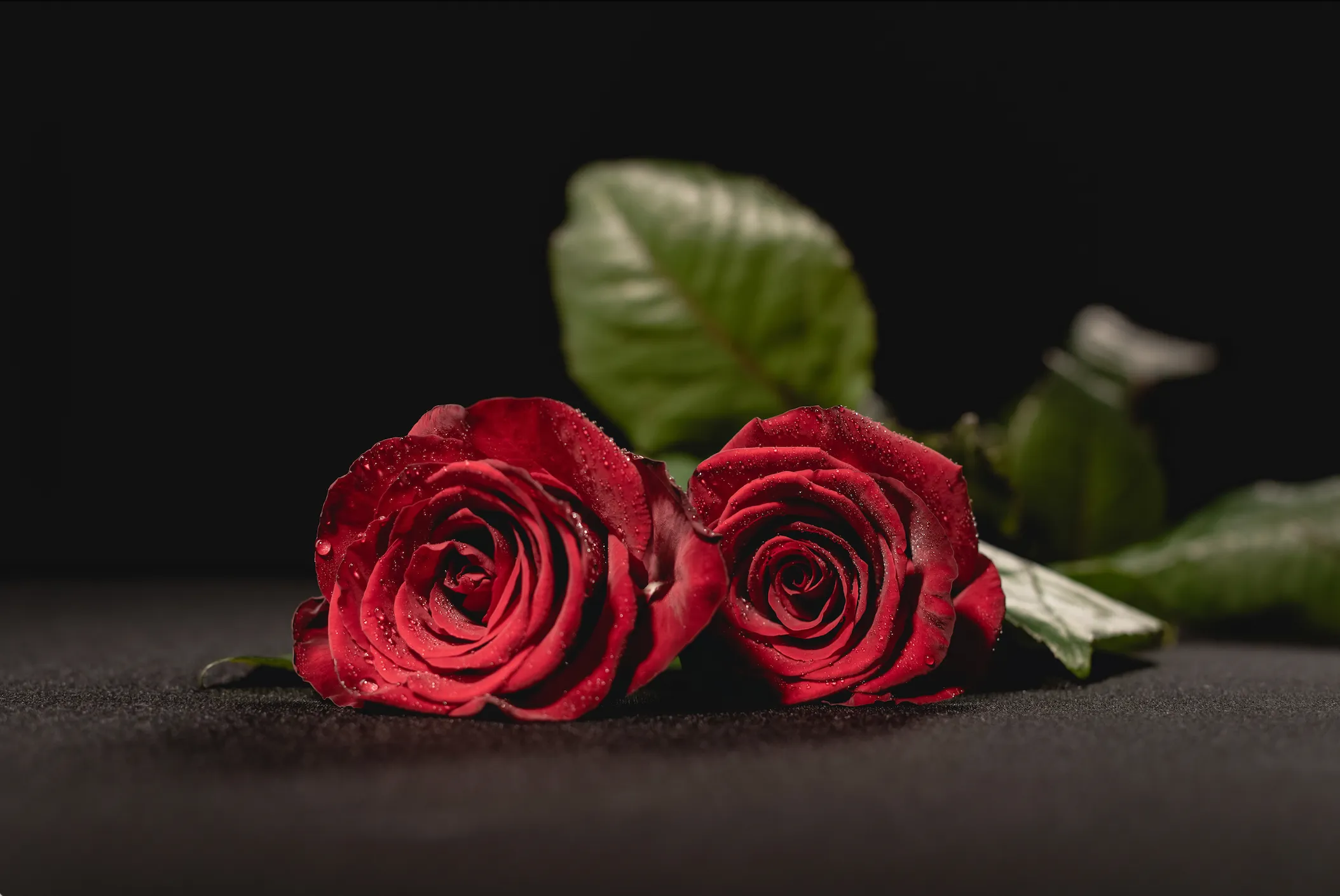 Centros funerarios: ¿Cómo las funerarias te ayudan a planificar un funeral?